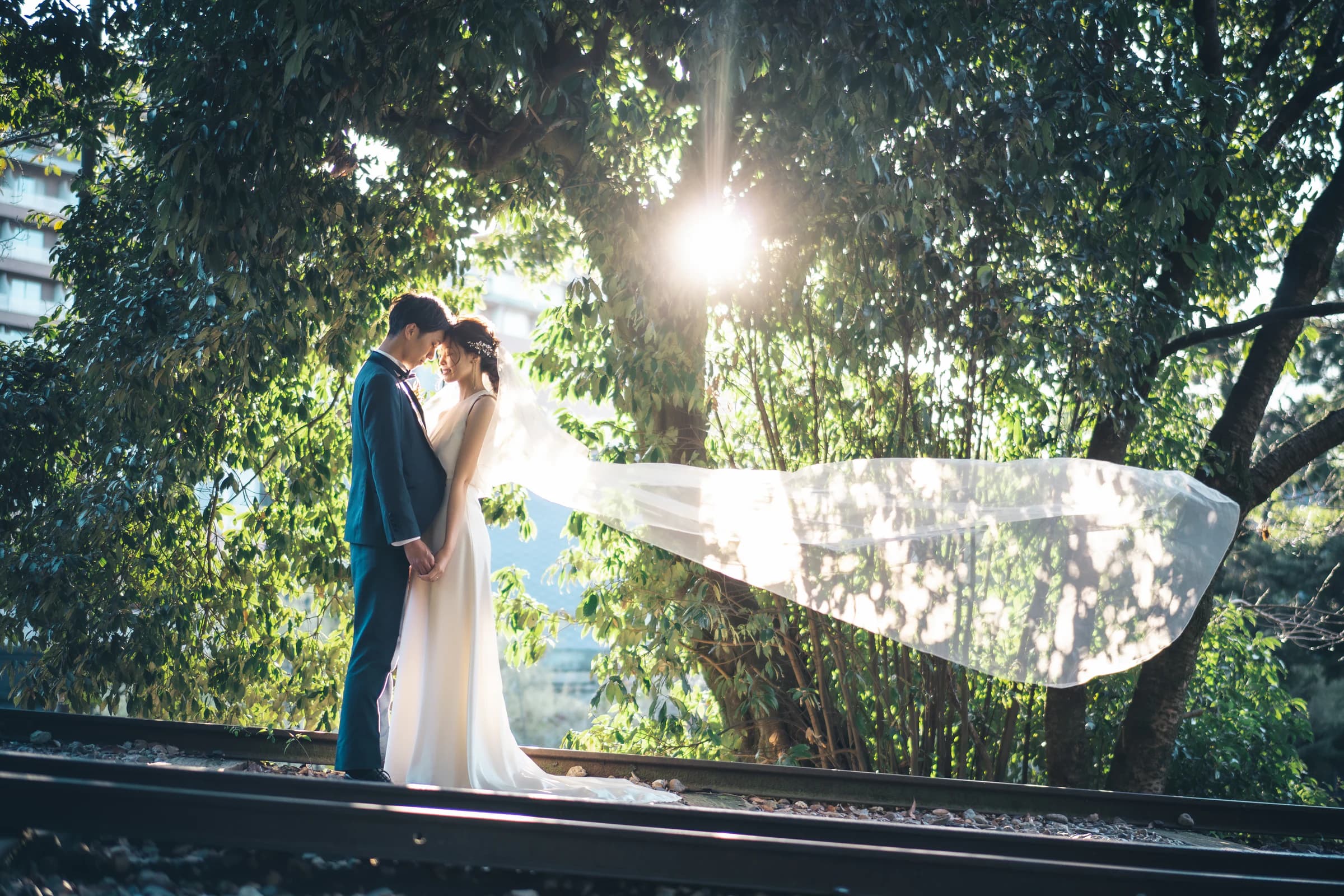 木漏れ日の中、ベールをなびかせて立つドレス姿の新婦と新郎