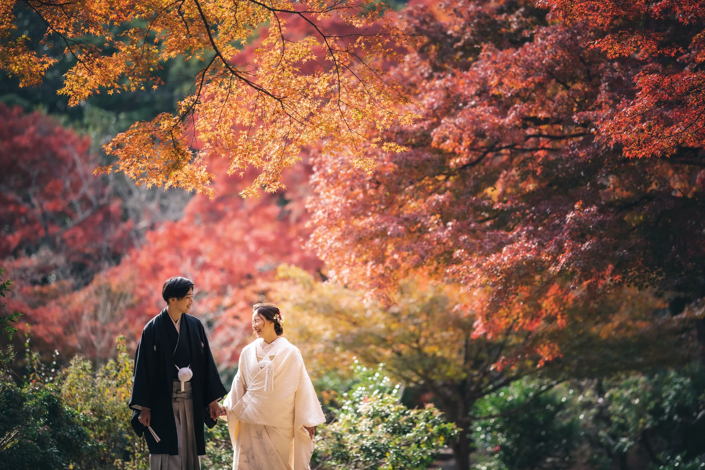 鮮やかな紅葉の中を歩きながら顔を見合わせて大きく笑う和装の二人