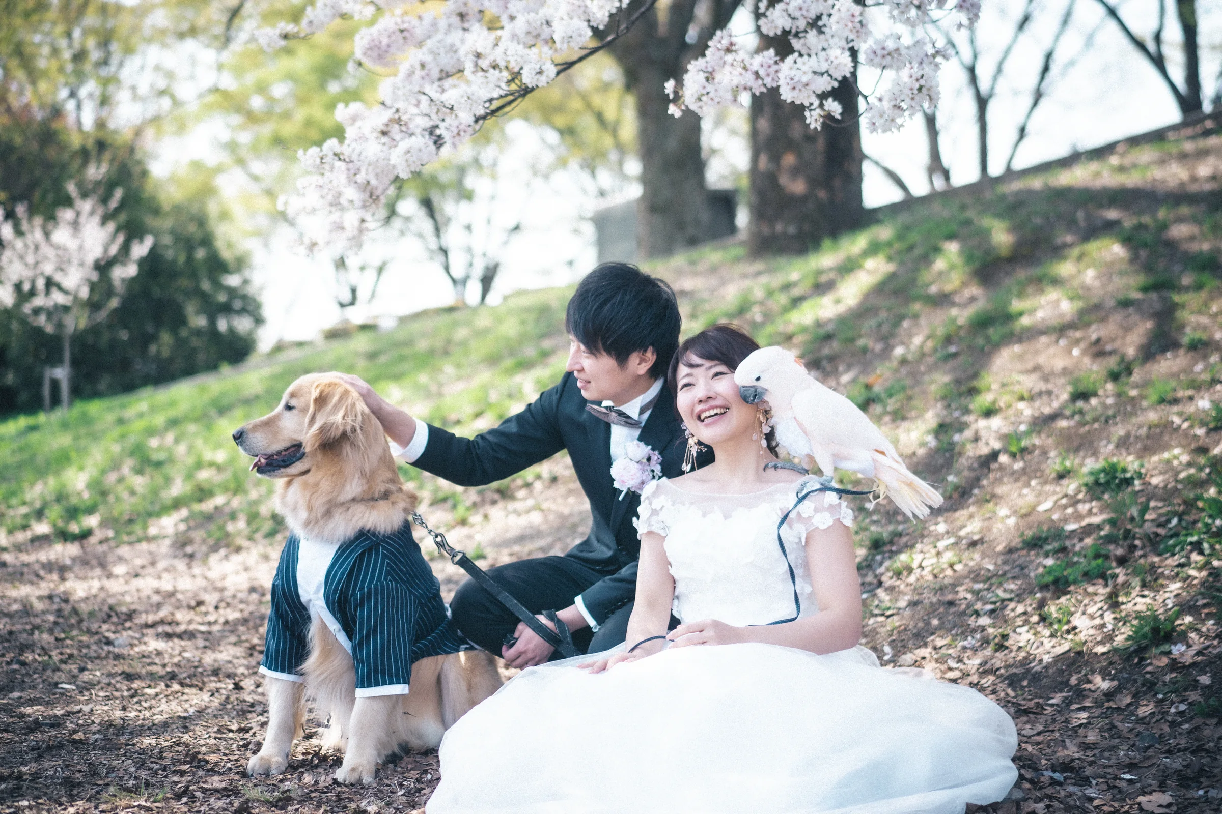 木漏れ日の中で犬と一緒に自然に笑う二人